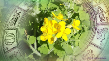 Астропрогноз с 6 по 12 мая 2024