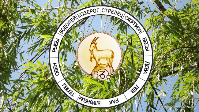Астропрогноз для Козерогов