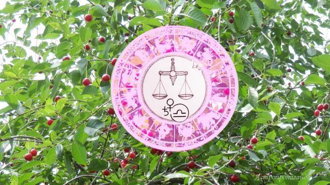 Астропрогноз для Весов