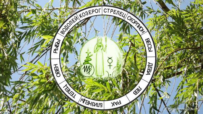 Астропрогноз для Дев