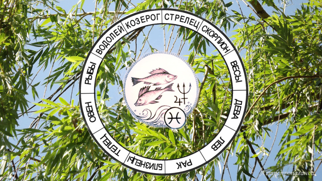 Астропрогноз для Рыб