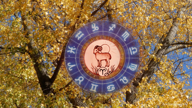 Астропрогноз для Овнов