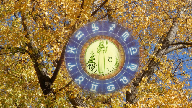 Астропрогноз для Дев